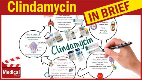 Clindamycin: Indication, Dosage, Side Effect, Precaution .